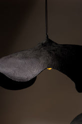 Curvy Accentuated Suspension Light - August- The Mob Collective